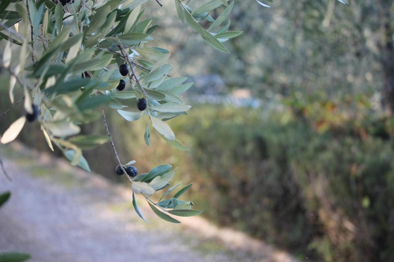 Casa Vacanze Rondini Blu Montespertoli Εξωτερικό φωτογραφία